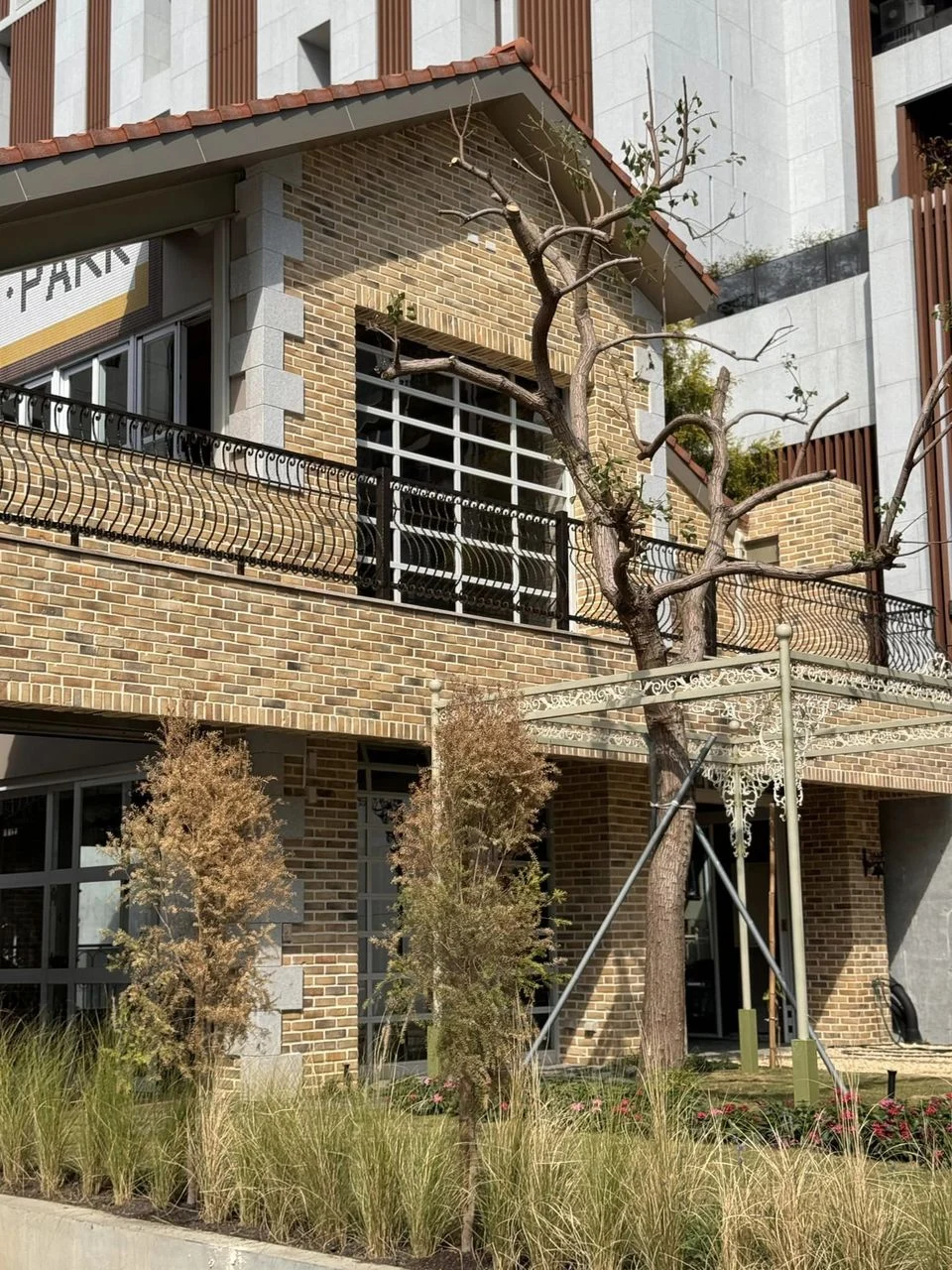 秋天落葉的樹與英倫建築、芒草